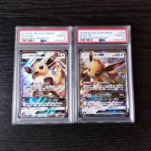 PSA 10 Eevee Pokemon Set Eevee GX Ultra Rare Two Card Version Pokemon Card