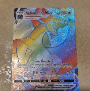 Pokémon Salamence VMAX Secret Rare Full Art Holo 194/189 Darkness Ablaze Card