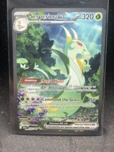 Serperior ex 164/086 Sv: Black Bolt Special Illustration Rare Holo EX