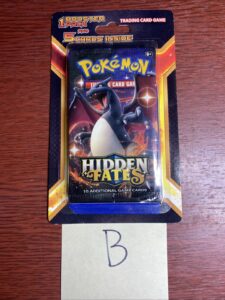 Pokemon TCG Hidden Fates Booster Pack 10 Cards Sealed Charizard Art Pack B