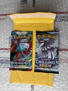 Pokémon TCG Chilling Reign & Paradox Rift Booster Pack
